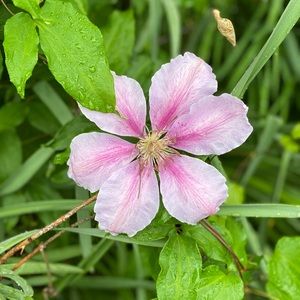 Meet your Posher, Florine